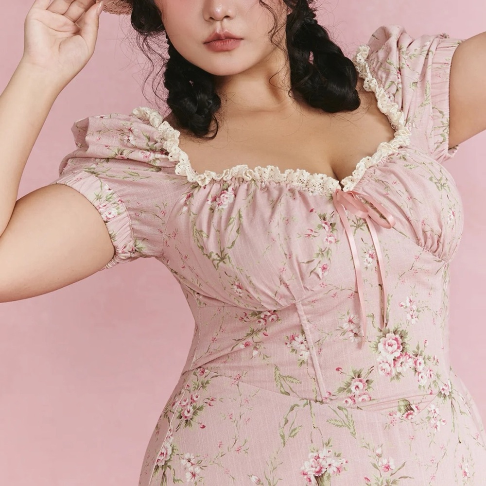 NWOT Lacemade Pink Roses Rosa Rubus Story Corset Dress Size 3XL - Picture 12 of 16